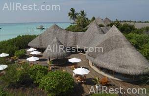 Coco Palm Resort & Spa 19